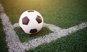 晨播报,你所购陈皮,或为,开云体育,开云体育官网,开云体育app,开云体育平台,KAIYUN,SPORTS,kaiyun登录入口