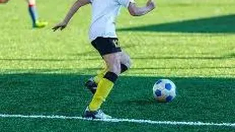 开云体育登录 产品 092443 avy