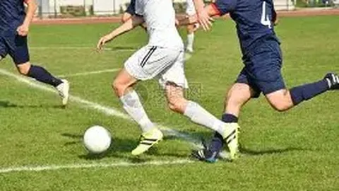 开云体育登录 产品 103517 ox4