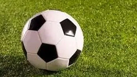 开云体育登录 产品 101446 1eg