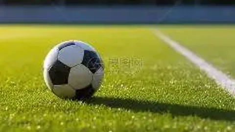 EA正式发布《2010南非世界杯》足球游戏