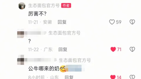 【揭秘NBL战况】一触即发！胜负与总分深度解析！