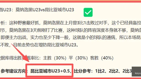 开云体育登录 135253 3